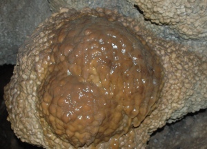 "cave brain"